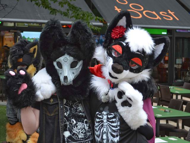 2026-07-18-JasperHusky-And-CaseyDusky.jpg