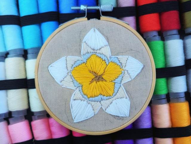 2026-07-26-plumeria.jpg