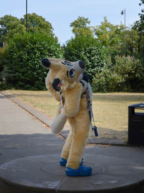 2026-08-02-Matt-The-Mutt.jpeg