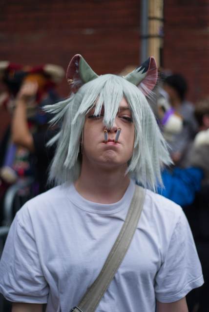2026-09-12-yani-neko.jpg