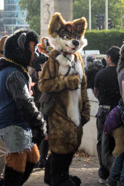 2026-10-10-londonfurs-1.jpg
